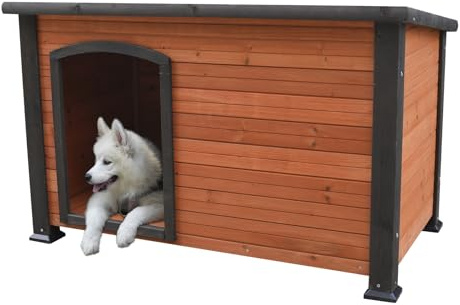 Wetterfeste Hundehütte aus Holz, Outdoor Hundehaus mit Grauer Umrandung, Naturholz Design