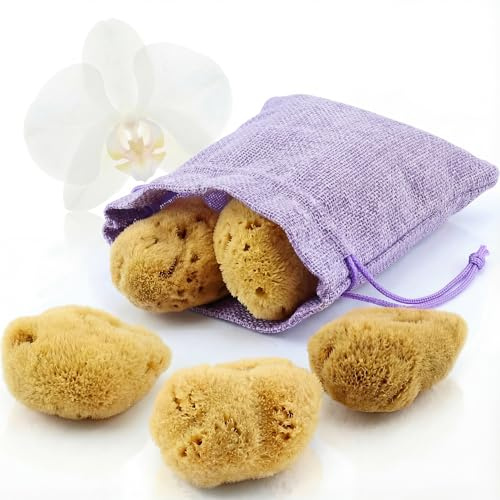 tom&pat® Menstruationsschwamm • Alternative zu Soft-Tampons • Dermatest sehr gut • Wechseldose für unterwegs • Naturschwamm als Periodenschwamm • waschbar & wiederverwendbar (Gr. M, 5 x 5-7 cm)