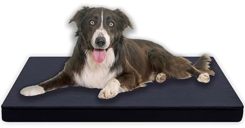 MyBestBuddy Hundekissen Premium 3 cm Vollschaumkern Grau 80x60 cm L | orthopädisches Hundebett 40°C waschbar, Stoffbezug, allergikerfreundlich, Hundematte & Hundematratze für mittelgroße Hunde