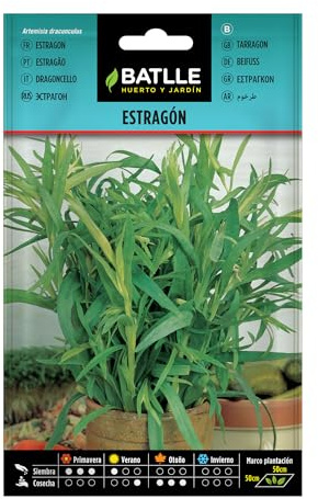 Batlle Kräutersamen - Estragon (Samen - 60-70cm)