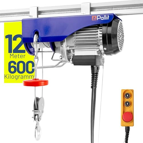 Pallit Seilwinde Elektrisch 230v Tragkraft 300 kg/12 m | 600 kg/6 m (Einzel-/Doppelhaken) inkl. Kabelfernbedieung mit 1,6 m Kabellänge HOIST Seilzug Seilhebezug Kettenzug Flaschenzug