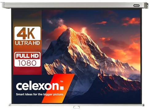 celexon Professional Rollo-Leinwand 95 | 200x150 cm 4:3 | manuell ausziehbare 4K, Full-HD Beamer-Leinwand für das Büro & Heimkino-Projektionen | Wand- & Deckenmontage/ zum Aufhängen