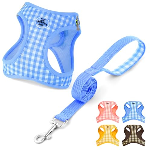 OFFCUP Hundegeschirr Leine Set für Hunde, Atmungsaktive Step-In Geschirr aus Mesh mit gepolsterter Weste Anti Zug Reflektierend Verstellbar Weich Welpengeschirr Katzengeschirr, Blau, XS