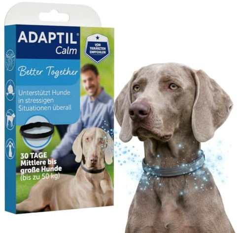 ADAPTIL Calm Halsband, 30 Tage Anwendung, klinisch getestet, Größe M/L | Unterstützt Anti Bell Training und Eingewöhnung, von Tierärzten empfohlen, Anti Stress Hunde Beruhigung, Entspannung Hund
