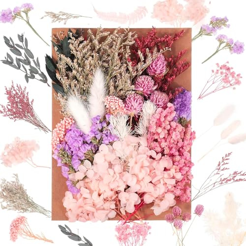 JIEYUCHU Trockenblumen, Trockenblumen Zum Basteln, Natürliche getrocknte Blumen, Trockenblumen Klein zum Basteln für für DIY Epoxidharz Scrapbook Zubehör Handgemachte Heimdekoration Hochzeit