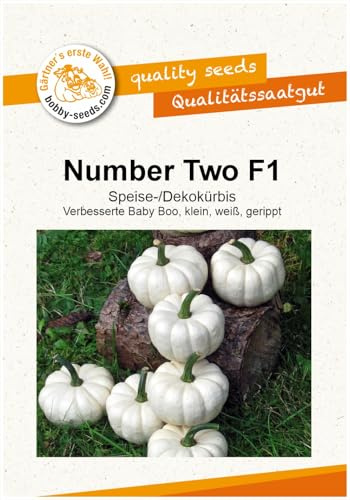 Kürbissamen Number Two F1 Portion
