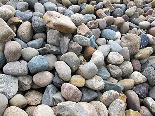 Gabiona - Gabionen Steine - 1000 kg Nordseekiesel Ø 60-80 mm - Zum Befüllen für Gabionen mit Maschenweite bis 5 x 10 cm