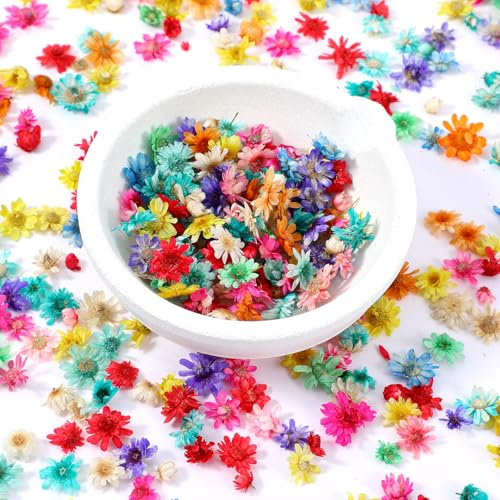 Nogeqi 420 Stück Trockenblumen Klein zum Basteln, Mini Getrocknete Blumen Kunstblumen Blüten Gepresste für DIY Harzarbeiten, Nageldesign, Scrapbooking Farbenfrohe in 3 Größen