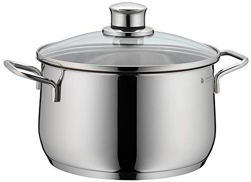 WMF Diadem Plus Kochtopf Induktion 20 cm – 3,7 l großer Fleischtopf aus Cromargan Edelstahl mit Glasdeckel, hohem Rand, spülmaschinenfest, langlebig und unbeschichtet für gesunde, leckere Mahlzeiten
