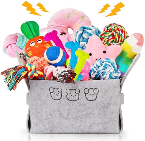21 Stück Welpenspielzeug-Set,Hundespielzeug Kleine Hunde Kauspielzeug Welpe | Langlebiges Kauspielzeug Intelligenz-Naturbaumwolle und Ungiftig-Kauspielzeug für kleine und mittelgroße Hunde,zum Spielen