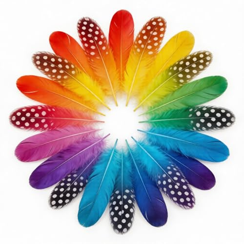 200 Stück Federn zum Basteln,4-12cm Perlhuhnfedern Bunt | Natürliche Gesprenkelte Federn,Bastelfedern für Traumfänger,Kopfschmuck,Masken DIY-Projekte