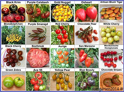 Tomaten Set 1 - In Deutschland angebaut, 20 Sorten, TOP Qualität ohne Gentechnik, 100% Naturbelassen und samenfest, Fleischtomate Cherrytomate Cockteiltomate Freilandtomate