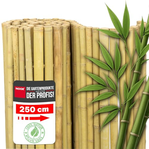 NOOR Bambusmatte DELUXE - Sichtschutzmatte Bambuszaun - Natur 1,5 x 2,5 m | Hochwertiger Sicht- & Windschutz aus hellem Bambus für Balkon, Terrasse & Garten - robust geschlossene Bambusrohre bis 40 mm