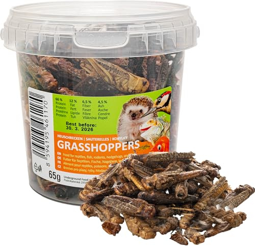 UGF - Getrocknete Heuschrecken - 65g im 500 Milliliter Eimer, Heuschrecken Insekten, Reptilienfutter, Nagetierefutter, Igelfutter, Eidechsenfutter, Vogelfutter Wildvögel Ganzjährig, Fischfutter