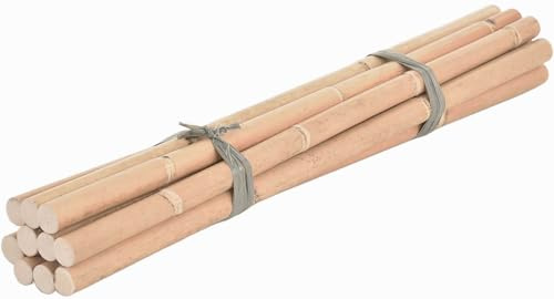 Korb-Outlet Rattanstöcke ungeschält/Rattan-Stange Manau Set Escrima/Übungs-Stöcke Arnis Kampfsport (10, Ø28-30mm / 68cm lang)