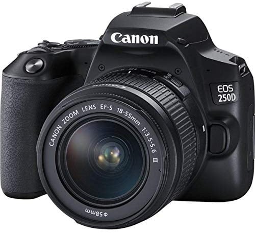 Canon EOS 250D digitale Spiegelreflexkamera + Objektiv EF-S 18-55mm F3.5-5.6 III (24, 1 Megapixel, 7,7 cm/3 Zoll Vari-Angle Display, APS-C-Sensor, 4K, Full-HD, DIGIC 8, WLAN, Bluetooth), schwarz