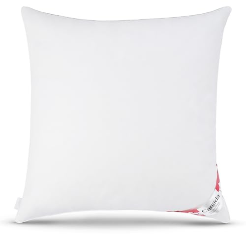 Bach's Betten Welt Canada Daunenkissen 5 Sterne Hotel Kopfkissen 80x80 cm Fachgeschäftsqualität Klasse 1