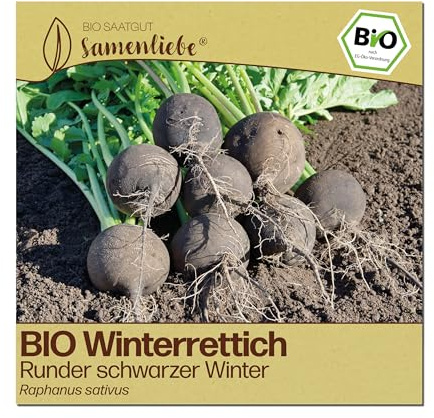 Samenliebe BIO Rettich Samen | Winterrettich Runder schwarzer Winter - winterhart & scharf - samenfestes BIO Saatgut