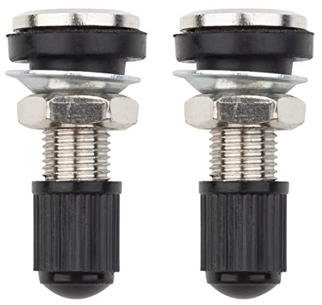 FanPaYY 2 stücke Reifenventil Ventile Felgenventile mit Staubkappen, Tubeless Ventil Metall Ventilschäfte für Auto Motorrad Reifen