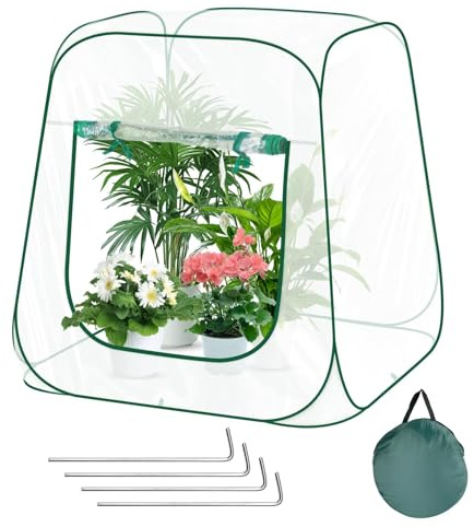 Pop-up Mini-Gewächshaus,Gewächshaus Klein PVC, berwinterungszelt für Pflanzen, Pflanzenschutz Winter Zelt, Mini Gewächshaus mit Aufrollbaren zum Schutz von Pflanzen und Blumen -100 x 100 x 97 cm