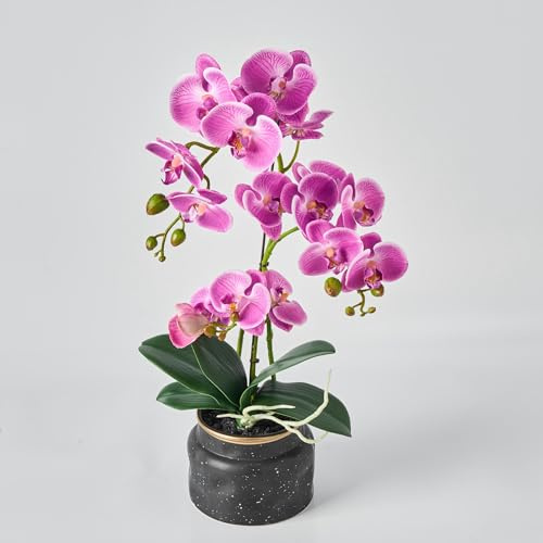 Avoeco Künstliche Orchidee, fühlt sich echt an, 50,8 cm, künstliche Phalaenopsis im Topf, sehr realistische Seidenorchidee mit Blume und Blattstruktur für Zuhause, Büro, Geschäft und