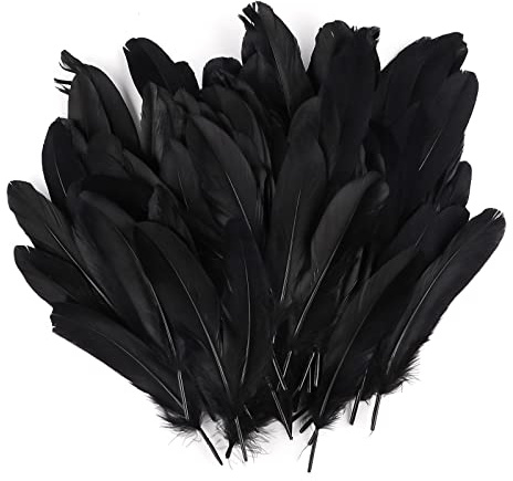 Vaktop Federn zum Basteln, 120 Stück Schwarze Federn, Natürliche Bastelfedern, Federn Deko für Traumfänger, Ohrring, DIY Basteln, Hochzeit Deko
