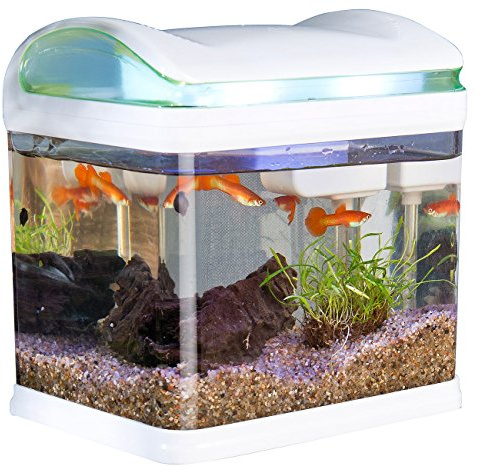 Sweetypet Aquarium: Transport-Fischbecken mit Filter, LED-Beleuchtung und USB, 3,3 Liter (Mini Aquarium, USB, Glas)