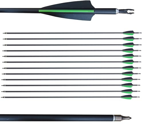 biubiusot 12 Stück Carbonpfeile 30 Zoll 500 Spine Bogenpfeile Jagdpfeile Pfeile Pfeilspitze für Recurvebogen Compound Bogen (12 Pfeile)