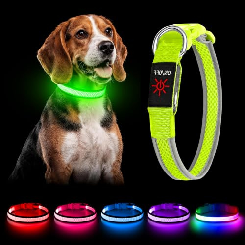 YFbrite Leuchthalsband Hund Aufladbar Nylon LED Hundehalsband Wasserdicht Verstellbar mit 3 Leuchtmodi Sicherheit für Kleine & Große Hunde (Grün, L)