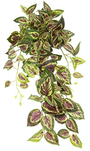 Flair Flower Künstlicher Buntnesselhänger Efeu Ranke Girlande Hängend Kunstpflanze Busch Hänger Pflanze Rankende Pflanzenampel Zimmerpflanze Kletterpflanze Efeuranke, 151724GNR, ca. 80x28x26 cm