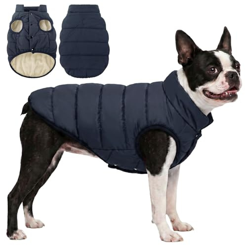 ASENKU Hundemantel S – wasserdichte Hundejacke Winter für kleine Hunde
