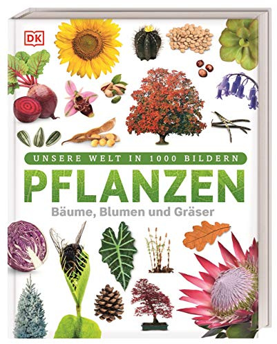 Unsere Welt in 1000 Bildern. Pflanzen: Bäume, Blumen und Gräser. Visuelle Pflanzenkunde anschaulich & kindgerecht erklärt. Für Kinder ab 8 Jahren