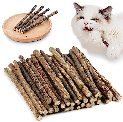 OSDUE 32 Stück Katzenminze Sticks, Matatabi-Kausticks, Katzenminze Spielzeug Katzen Kauhölzer Sticks für Katzen Zahnpflege & Gegen Mundgeruch Natürlich Sicher Katzensticks Kausticks Set