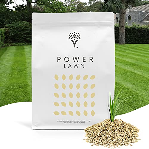 MOOWY Power Lawn Rasensamen Schnellkeimend 100m² - Merhjährige und Strapazierfähige Sport und Spiel Rasensaat mit Biostimulanz-Beschichtung für 38% mehr Keimung - Ideal als Rasenreparatur Grassamen