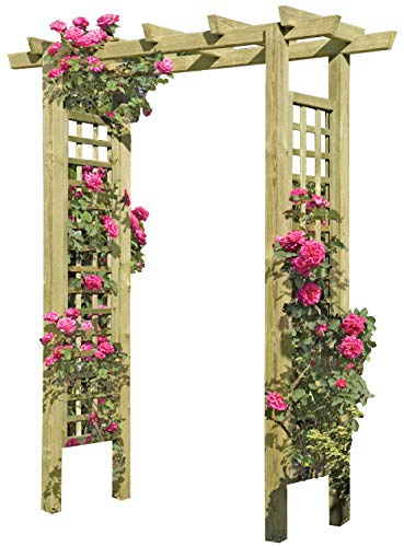 Gartenpirat Eingangspergola 160x62x210 cm aus Kiefer kesseldruckimprägniert | Pergola aus Holz mit vormontierten Rankelementen | Rankhilfe für Rosen & Kletterpflanzen