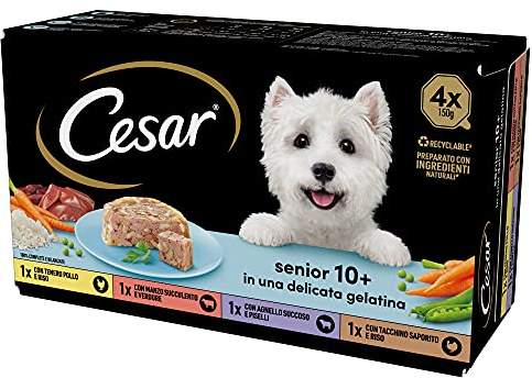 Cesar Senior 10+, Futter für ältere Hunde, Verschiedene Auswahl, 150 g, 24 Schalen - 3600 g