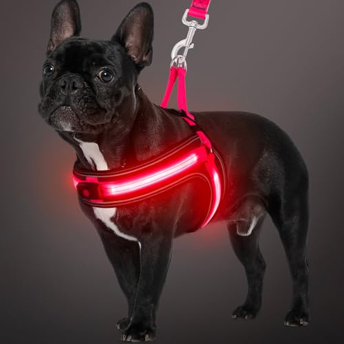 BiPawTi LED Brustgeschirr Hund Mittel, Wiederaufladbares Leuchtgeschirr Hundeweste mit 3 Lichtmodi - Leuchtet Im Dunkeln - Praktisch Zubehör fürs Camping mit Hund - Leuchtendes Hundegeschirr Rotlicht