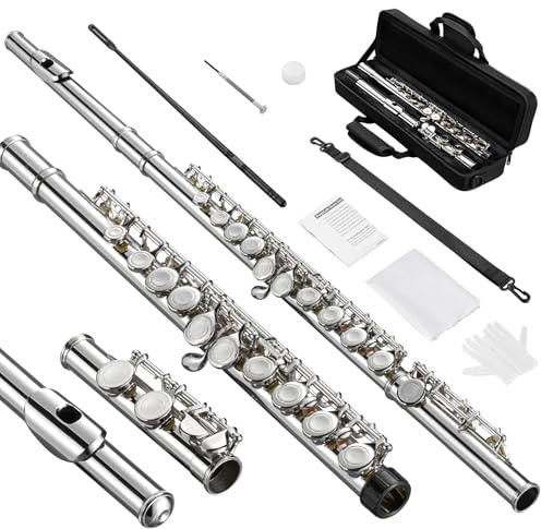 POGOLAB Flöte, C Fußstück, Geschlossenem Loch, Schülerflöte mit Offset-G, Flötenetui/Flötenreinigungsset/Probestab/Handschuhe/Fett, C Flute Nickelflöte für Schulband-Übungen