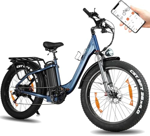 Skivogr E Bike Herren Damen, 30A/1440Wh Akku Elektrofahrrad Ebike, E Fatbike mit 26 x 4.0 Tire, City E-Bike mit 250W Motor, Elektro Fahrrad Mountainbike(Höhe über 167 cm, Tragfähigkeit 200 kg)