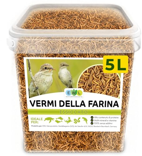 EWL Getrocknete Mehlwürmer 800g (5L) | Vogelfutter & Wildvogelfutter | Proteinreicher Insektensnack | Ganzjahresfütterung | Schonend getrocknet | Ideal auch für Fische, Igel & Reptilien | Eimer