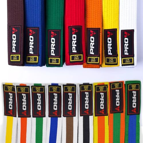Pro4 Budo Gürtel 1 oder 2 farbig für Kampfsport Karate TKD Kickboxen Judo Jiu Jitsu 220 240 260 280 300 oder 320cm (orange-grün, 280cm)