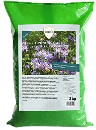 Phacelia Samen Gründüngung 2kg – Bienenweide Saatgut Gründünger | Schnellkeimender Bodenverbesserer & Zwischenfrucht – Phacelia Samen 1kg als Bienenweide und Gründünger Saatgut