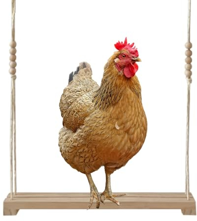 Hühnerschaukel, Hühnerspielzeug Holz Hühner Zubehör Spielzeug Sitzstangen für Hühner Hühnerstall Hühnerfarm Hühnerbesitzer Hühnerliebhaber (40cm)