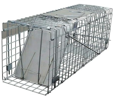 Humane Tierfalle Rattenfalle 1 Tür Eichhörnchen Lebendfalle für Capture Marder, Katzen, Füchse, Ungeziefer, Wildtier Tier, 61 x 19 x 21cm wasserdichte Stahlmesh Wiederverwendbare Rattenfalle