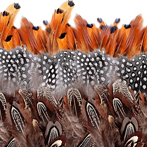 camelize Natürlich Braun Federn,350 Stück Indianer Federn basteln,DIY Deko Federn für Dream Catcher Crafts,Kostüme, Hüte, basteln, Zuhause Dekor, Halloween,DIY Dekoration(5-8cm)