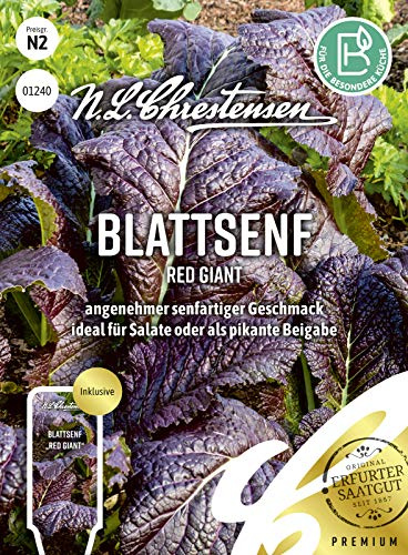Blattsenf Red Giant Samen, Saatgut