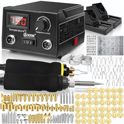 165-tlg Brandmalstation 100W 5x Lötspitzen & 2X Stift Einstellbar 300-750°C | Brandmalerei und Lötkolben Set, Holzbrenner Brennkolben Brandmalgeräte Lötstation Lötset Soldering Iron