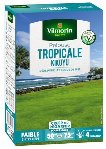 VILMORIN Kikuyu Tropical Rasen – ideal am Meer – Trockenheitsbeständig – energiesparend – fein und weich hellgrünes Laub – Rasen erstellen/Nachbeleben eines alten Rasens – 500 g