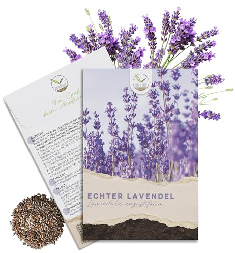 300x Lavendel Samen mit hoher Keimrate - Vielseitig einsetzbare Heilpflanze & ideal für Bienen und Schmetterlinge (inkl. GRATIS eBook)