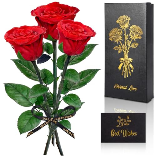 SERIONR 3 Infinity Rose, Ewige Rot Rosen mit Stielen, Echte Rose Geburtstagsgeschenk für Frauen, Konservierte Blume mit Geschenkbox für Frauen Geburtstag Muttertag Jahrestag Valentinstag Weihnachten